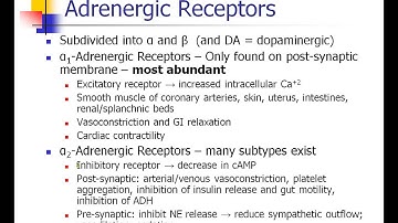 OLD VIDEO - ANES 475 - Lecture 8 - Part 2