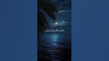 جنات عدن يدخلونها | تلاوة هادئة ومريحة بصوت القارئ ياسر الدوسري🤍🍁#راحة نفسية#يارب