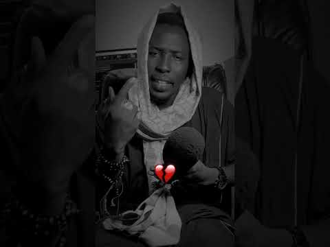 Sha Iran ANNABI Zaki Dan Yaya 2025 Zakidanyaya