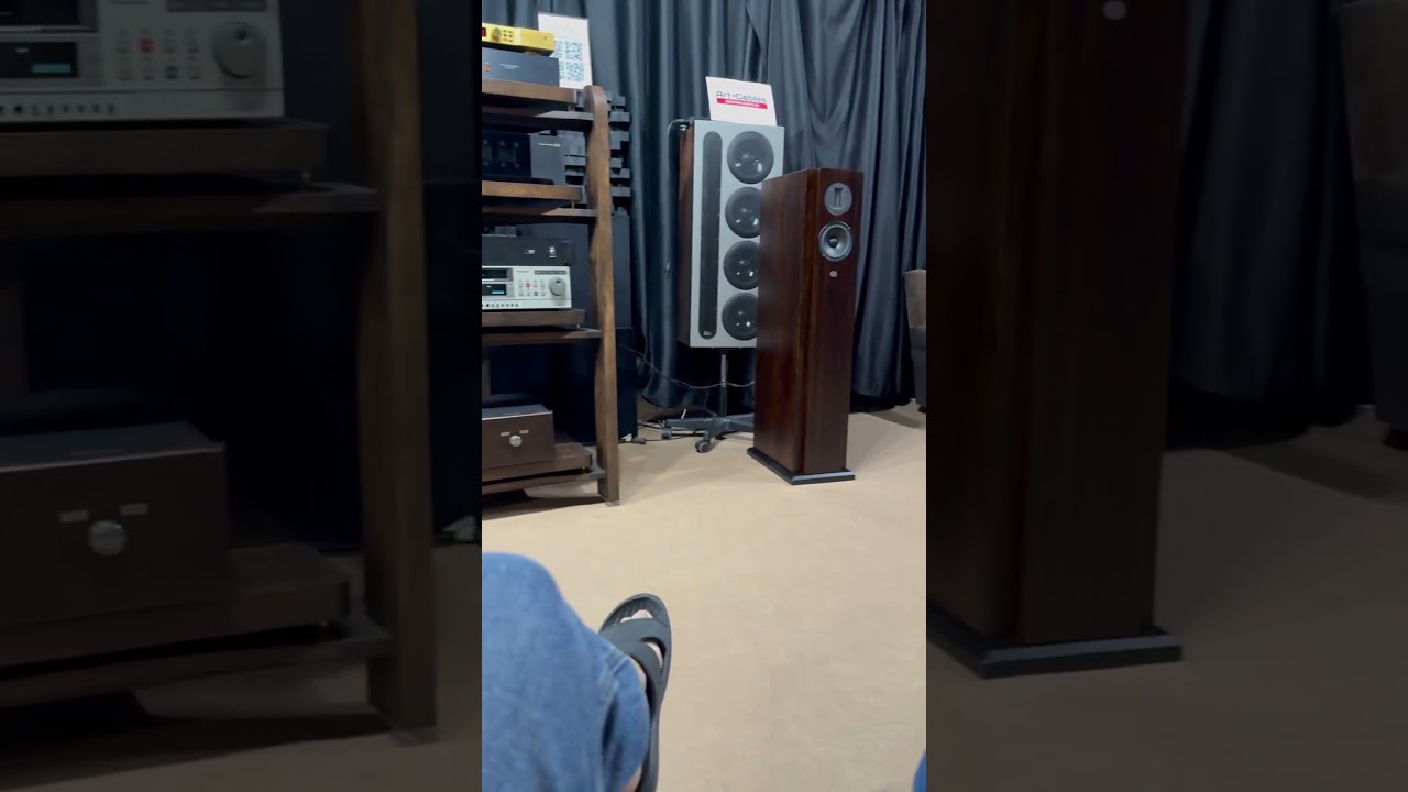 Два аудиофила слушают Dorius DX2 vs d-AMP SuperGaN от Bricasti M1