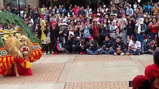Egolane Jathil Singo Barong Taiwan