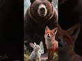 When a Fox Helps a Rabbit — Short Story of Kindness #viral # #wildlife #animalstories