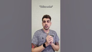 Ask-A-Vet | Common cat questions ANSWERED