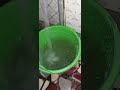 SEE THE DIRTY WATER COMING FROM NAWEC SUPPLY TO HOMES IN BRUSUBI TODAY GAMBIA IS A S D COUNTRY