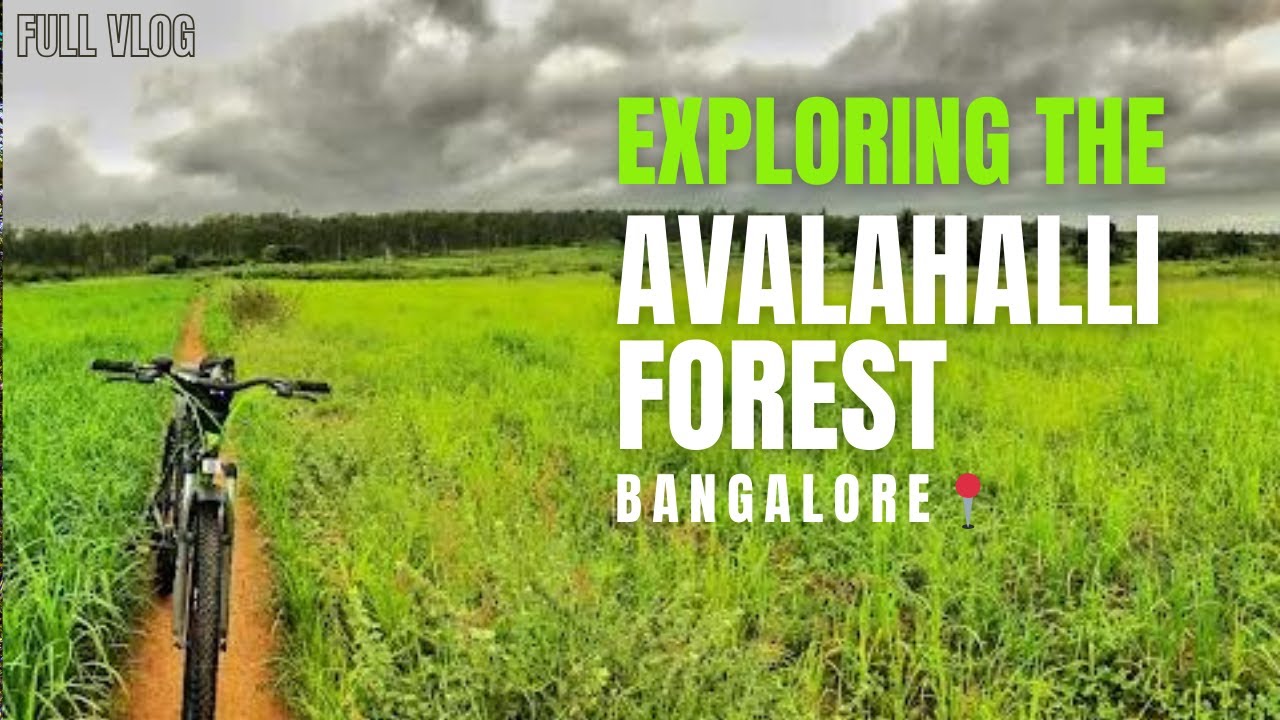 Avalahalli Forest full vlog|Avalahalli Forest Ride|
