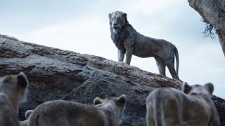 Scar Becomes King Scene | THE LION KING | Movie Scene (2019)