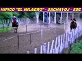 JACKELINA en HIPICO "EL MILAGRO" (SACHAYOJ-SDE 17-05-26)