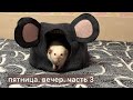 Пятницв. Вечер. Часть 3. #крысы #rats #cute 