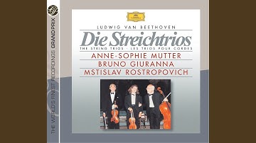 Beethoven: String Trio in G Major, Op. 9 No. 1: IV. Presto