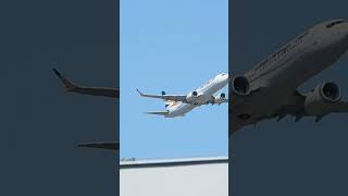 Plane spotting at home.