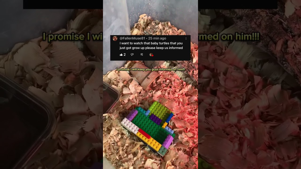 His cage is complete!!! 