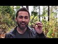 Why Trees Are Out to Get You