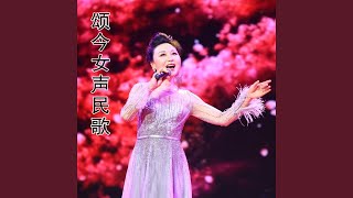杨柳春风总青青