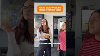 TIER-DOKUS EINFACH BESTE! 🤷🏼‍♀️😂 #bigfm #tierdoku #animals