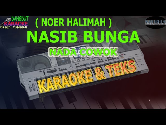 karaoke dangdut NASIB BUNGA NOER HALIMAH NADA COWOK kybord KN2400/2600 class=