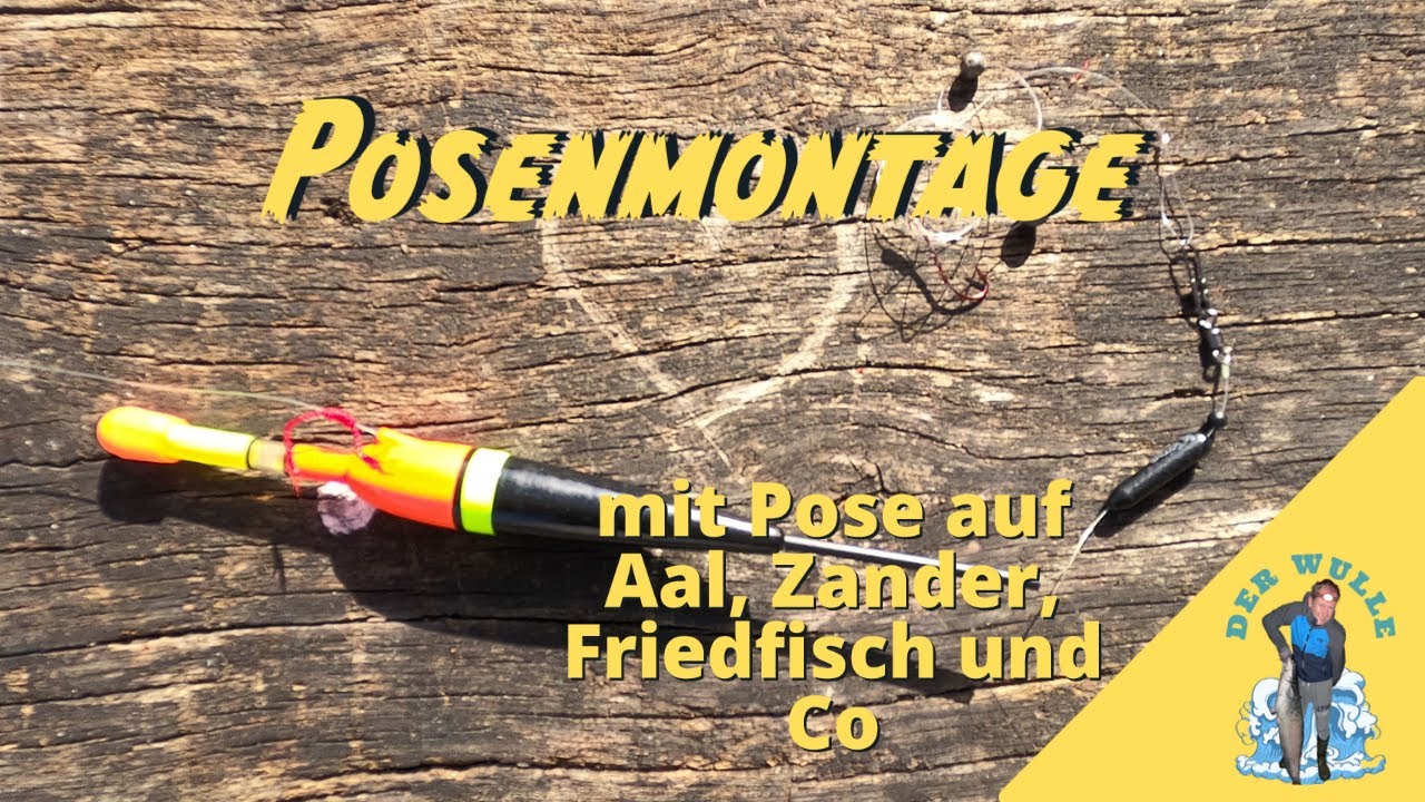 Forellenangeln mit Posenmontage für Einsteiger!