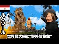 【#63】🇪🇬エジプト「"1食75円"「世界最大級の野外博物館」ルクソールの飯と遺跡がヤバかった」【アフリカ縦断12カ国目】