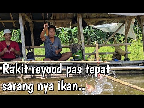 Mancing Dua hari sebelum Lebaran kita masih di Pulau Kp.Cigandu Pesisir Cirata Bandung Barat