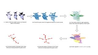 Unsupervised Skeleton Extraction of Generic Objects from Depth Videos