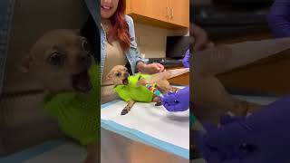 He Trusted Me Big Mistake