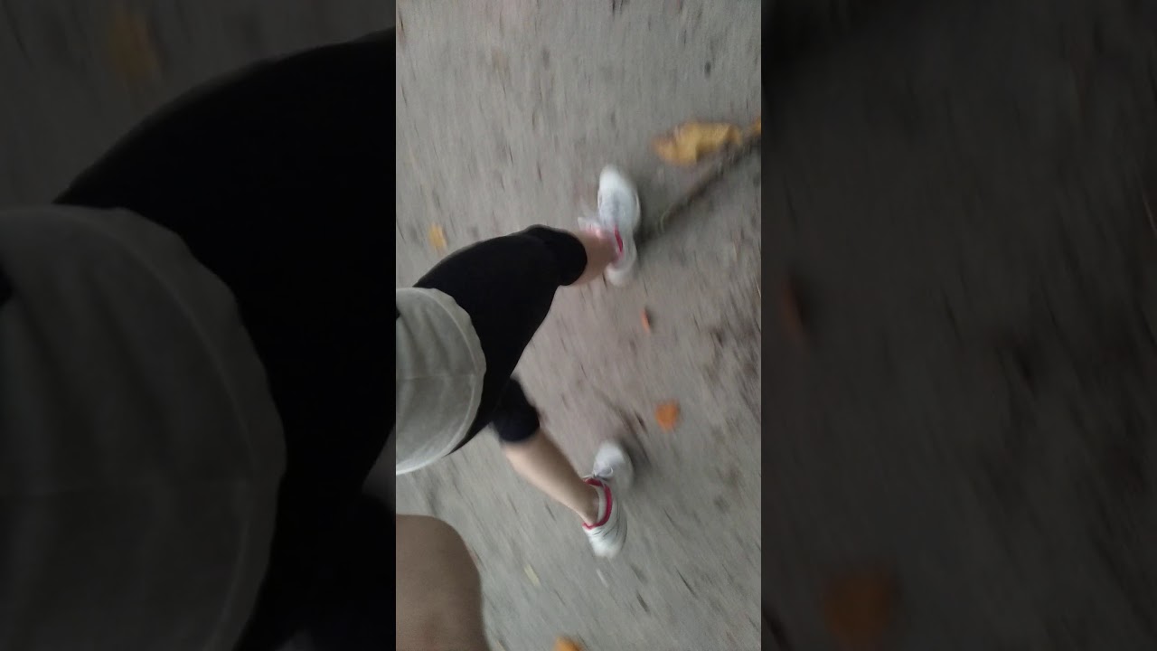 Early Morning Mail Walk