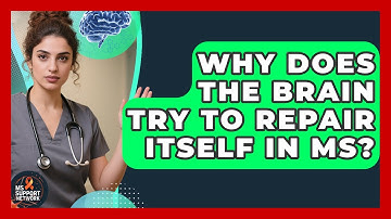 Why Does The Brain Try To Repair Itself In MS? - MS Support Network
