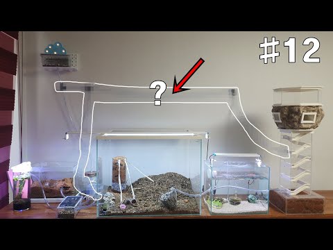 #12) 불개미군대에게 &amp;quot;비밀의 통로&amp;quot;를 만들어 줘보았다. (불개미 위기상황)