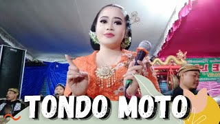 Tondo Moto - Rini Epeledut & Cindelaras