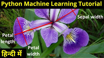 Iris Dataset Machine Learning Tutorial in Python in Hindi | Machine Learning using Sklearn in Python