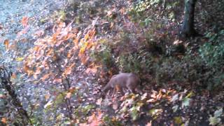 VID_20131014_185502_806.mp4