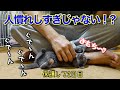 【保護猫】迷い猫が家に来て2日目でこんな感じになっちゃいましたwww