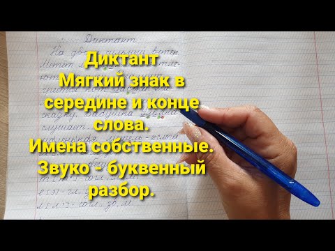 Диктант по теме "Мягкий знак в середине и на конце слов"