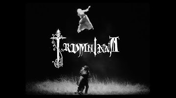 Ånghäst Parken - Trumhinna (Official music video)