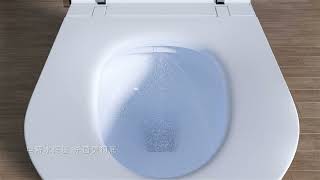 Huida Itelligent Toilet Toilet