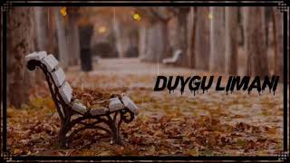 Duygu Limanı - Duygusal Fon Müziği ♫ ᴴᴰ (Rufan)