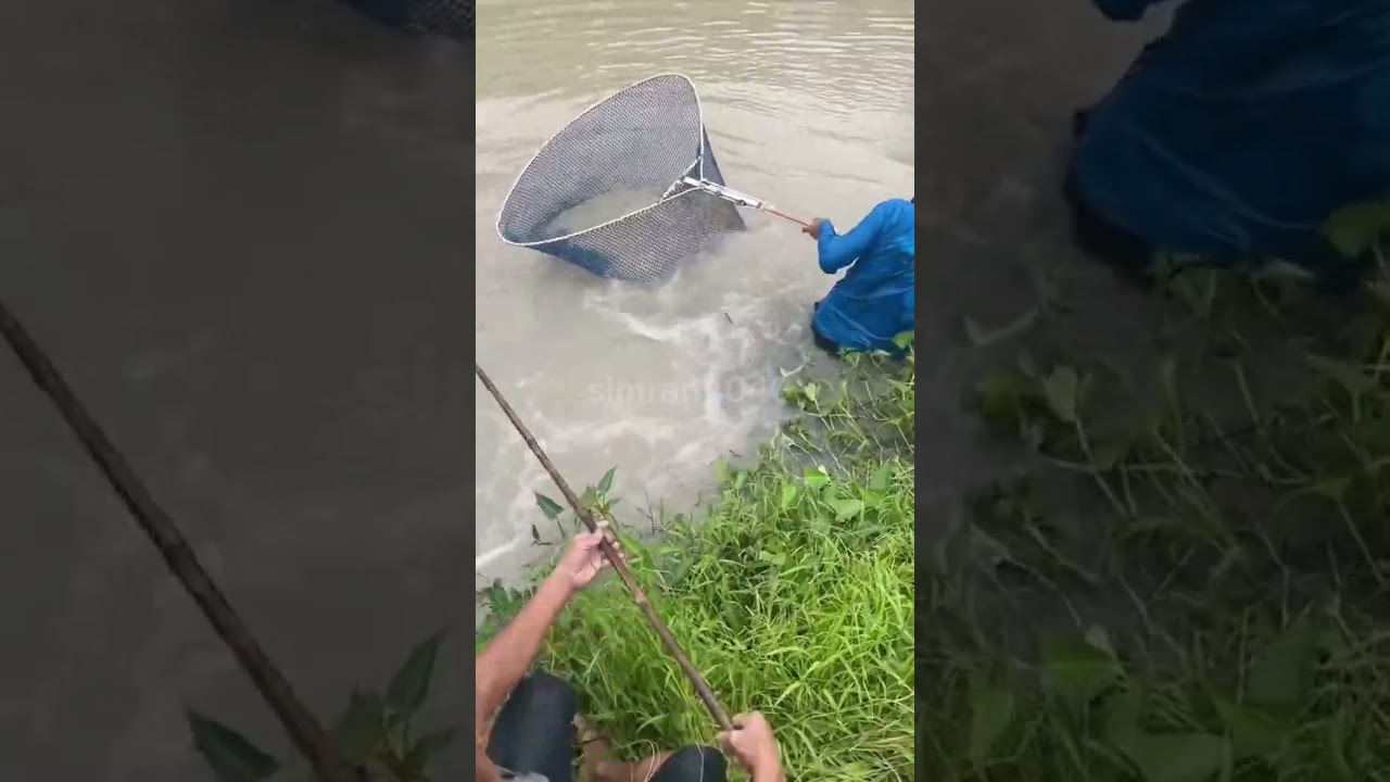 Amazing fish trap idea 