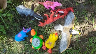 Find Animals Tortoise Dinosaur Trex Rhino Elephant Bird Horse