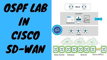 Cisco SD-WAN: Basic OSPF Configuration Lab | Cisco SD-WAN Tutorial in Hindi