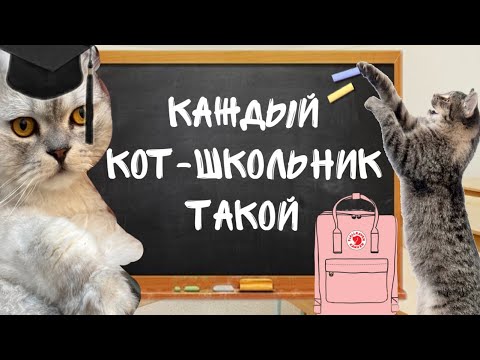 КАЖДЫЙ КОТ-ШКОЛЬНИК ТАКОЙ | СКЕТЧ ЛЯПОТА ТВ