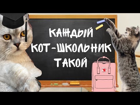 Video: Suzukakya Kotletid