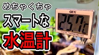 【まるでスマート家電】コードレスで設置簡単な水温計をレビュー【アクアリウム 淡水魚】