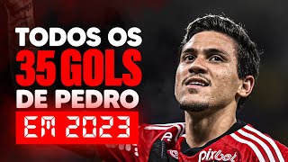 TODOS OS GOLS DE PEDRO EM 2023 | FLAMENGO