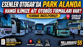 Which Bus Companies Are at the Esenler Bus Terminal Parking Area? We’re Checking Out the Vehicle ...
