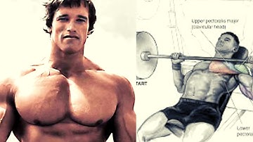 Download Arnold Mass Chest Mp3 Free And Mp4