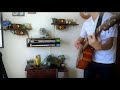 君と暮らせたら/スピッツ  素人弾き語りcover