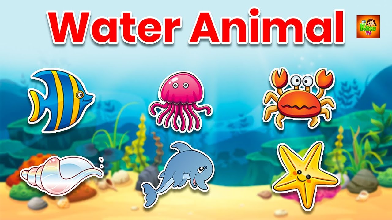 20 Water Animals Name | 20 जल में रहने वाले जीवो के नाम | Kids Learning Video