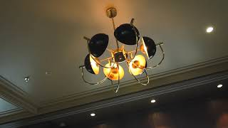Radisson Full length 1080P