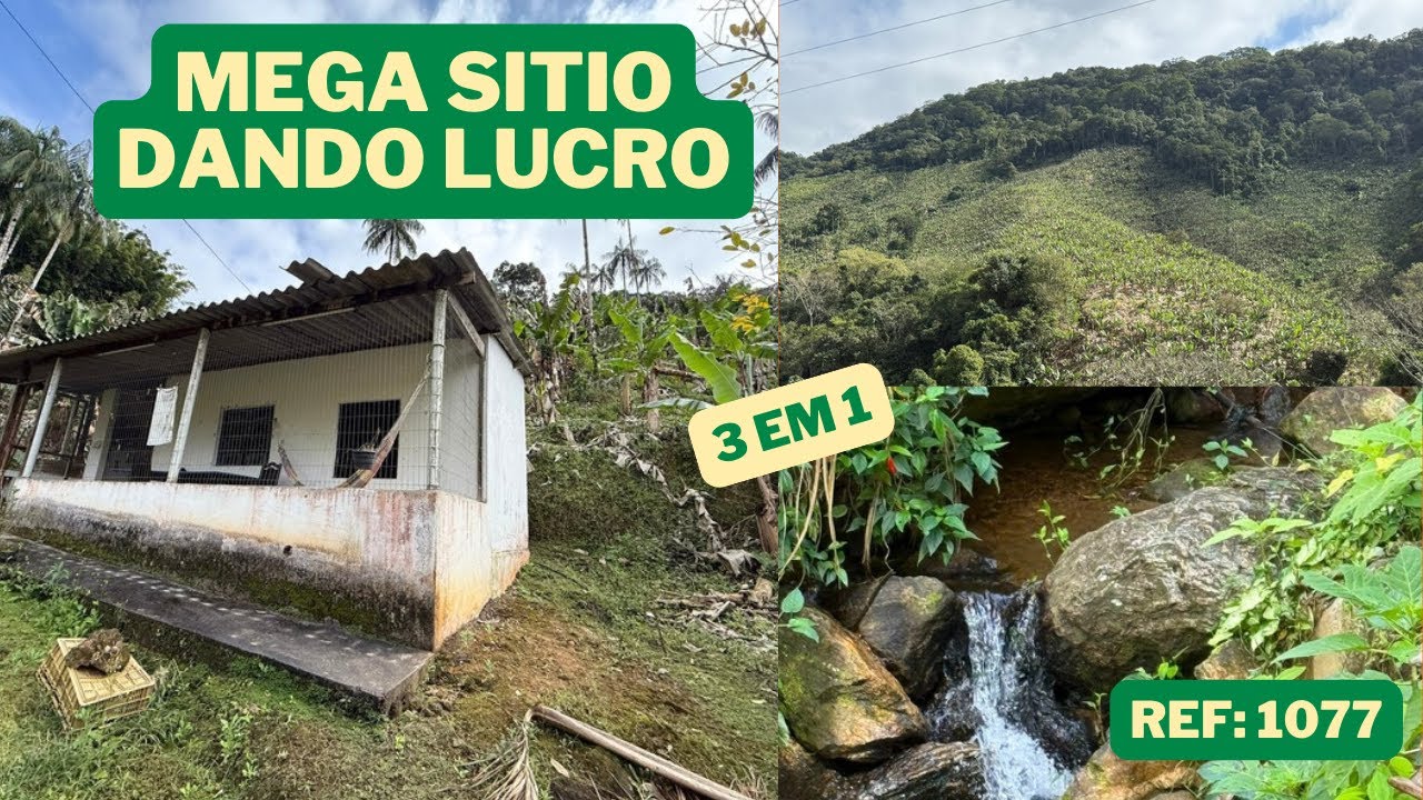 REF. 1077, MEGA CHACARA DANDO LUCRO POR R$ 500.000,00, EM PEDRO DE TOLEDO - SP.