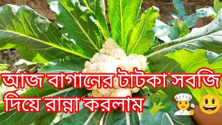 বাগানের টাটকা সবজি দিয়ে মাছের ঝোল রান্না করলাম কি যে দারুন স্বাদ। ????‍?