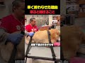 レトリバーが救急病院に来ると起きること